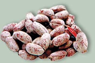 Salsicce secche