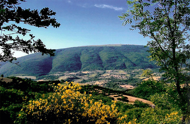 monte Subasio