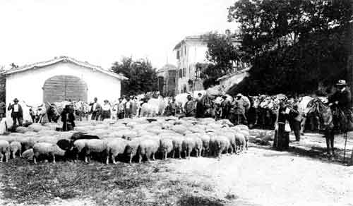 mercato e benedizione del bestiame