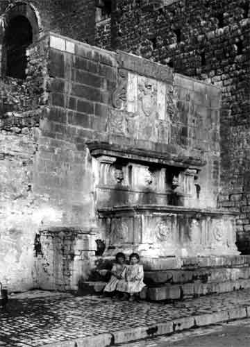 fonte marcella