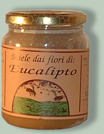 Miele di eucalipto