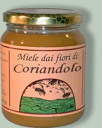 Miele di erba medica