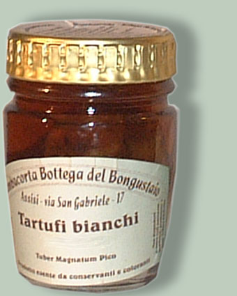 Tartufo bianco